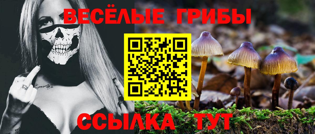 Топки  Галлюциногенные грибы прущие грибы  Галлюциногенные грибы Psilocybe  Вход с VPN 